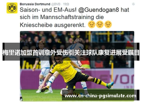 梅里诺加盟首训意外受伤引关注球队康复进展受瞩目
