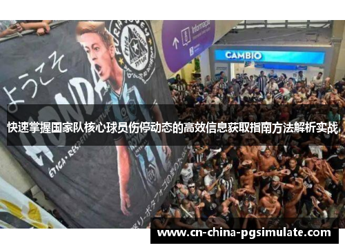 快速掌握国家队核心球员伤停动态的高效信息获取指南方法解析实战